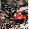 ROTAT "Carnal Beauty" CD